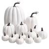DIY White Pumpkin Model for Halloween & Christmas Decorations