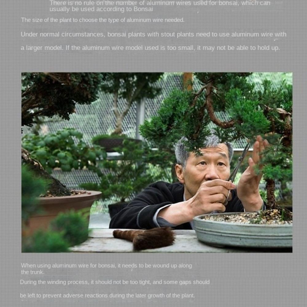 1/1.5/2/2.5/3mm Bonsai Training Wire Aluminum Garden Accessories Black Bonsai Wire