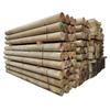 Pine Solid Round Logs