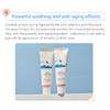 ROUND LAB Birke Feuchtigkeitsspendender Ton-Up Sonnenschutz 50ml (SPF50 +)