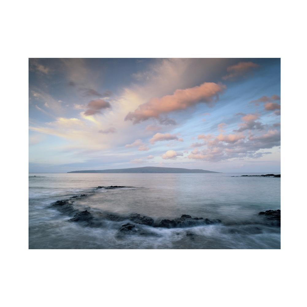 Ropical Beach Backdrop Banner,Wall Decor for Summer Parties,Events,Photo Shoot Backdrop,Beach Theme Decor,Weddings