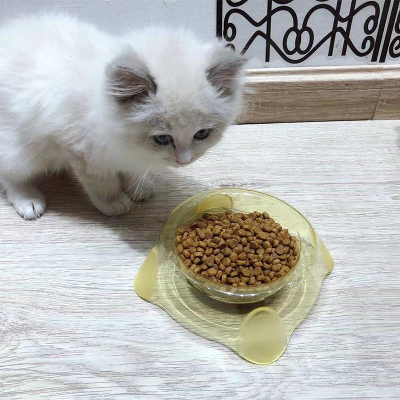 

Товары для домашних животных Прозрачная одиночная миска для корма для собак Миска для кошек и собак