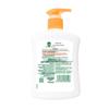Dettol Natural Fresh Antibacterial Hand Wash