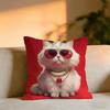 Cool And Domineering Cat Cushion Cover Cozy Velvet Throw PillowSoft Warm Cushion For Sofa  Bed