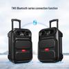 Aigo S56 12-inch Portable Bluetooth Trolley Speaker with Dual Microphones CN Plug (adapter Included)