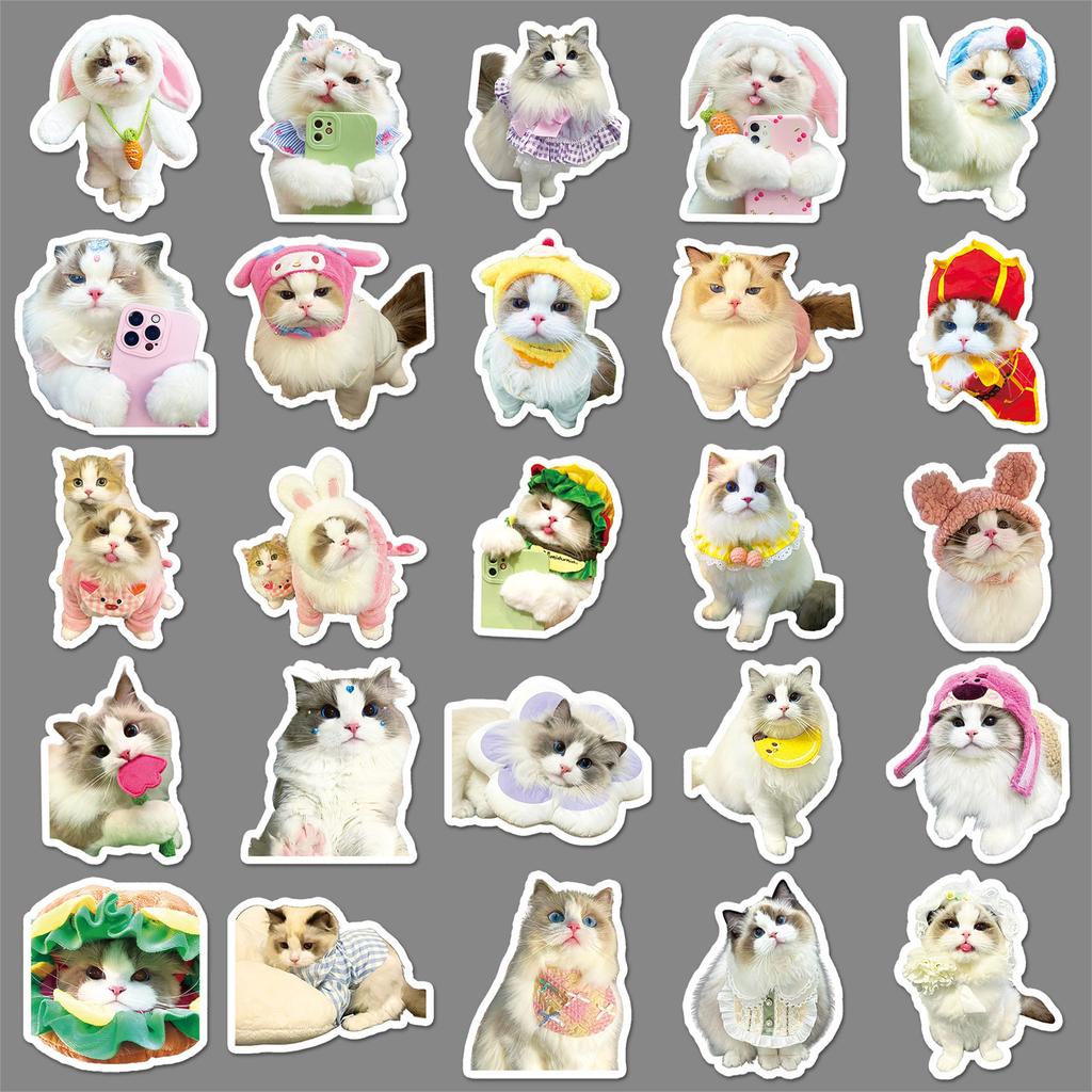 50 Ragdoll Cat Doodle Stickers Cute Kitten Ins Style Creative Decorative Water Cup Computer Mobile Case Stickers