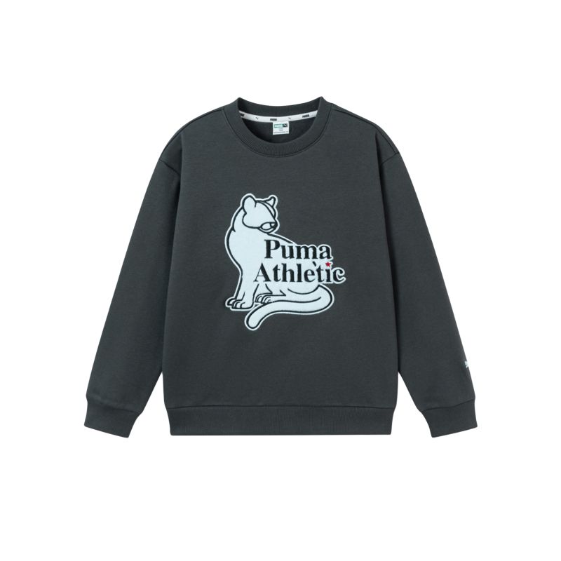 

New PUMA Kids Sweatshirts 353425121204-20101 120