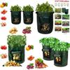 Versatile And Sturdy 10 Gallon Reusable Bags For Growing Fresh Produce Anywhere