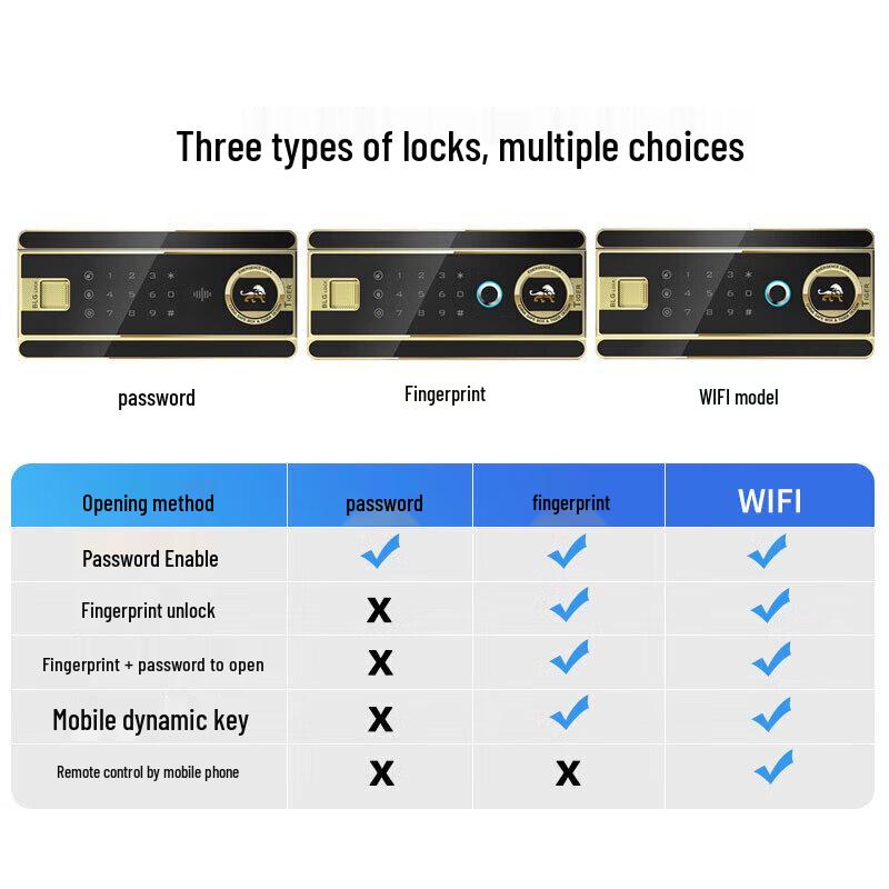 Tiger Brand Borui Series Smart Fingerprint Password Safe