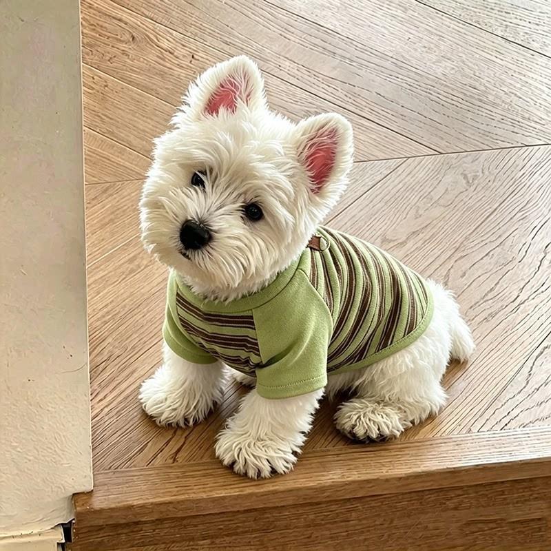 Dog clothes early autumn new elastic striped shirt bipod small dog bichon teddy pet autumn and winter bottoming shirt