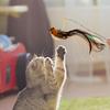 Katzen Spielzeug Federn Nachfüllung Interaktiver Katzen Reißer Nachfüllungen Aufsätze Multifunktionales Interaktives Katzen Spielzeug Für Zuhause Draußen