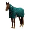Weatherbeeta Comfitec Plus Dynamic High-Neck 220g Horse Turnout Rug