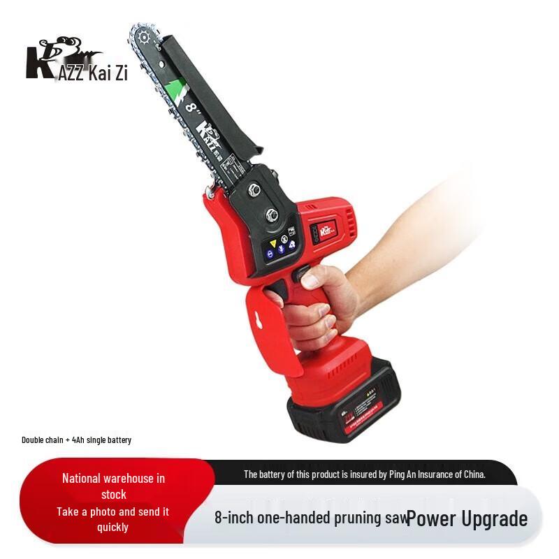 

KAZZ Cordless Electric Chainsaw & Pruning Saw CN plug (adapter included)
