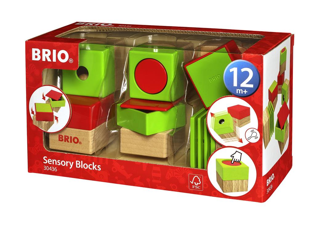 BRIO Activity Block 30436