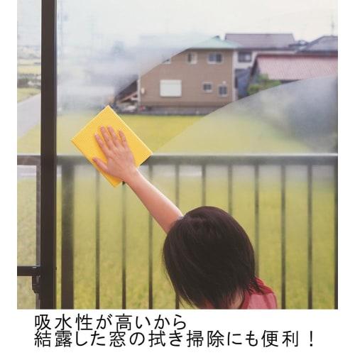 Remark Dishcloths (German Towel Blitz Solid Color Set of 3, 30 X 20 Cm)