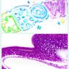 8/12 Flash Acrylic Marker Set with Thick Head Fluorescent for Hand Accounts Art Painting Greeting Card Decoration
