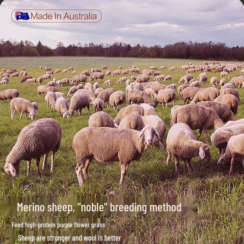 Pierre Cardin Men's De Velvet Plush Wool Thermal Underwear