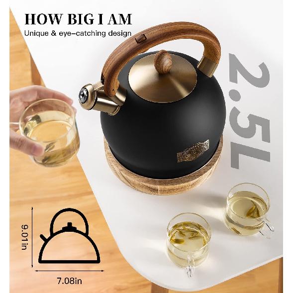 Tea Kettle & Tea Pot, 2.64 Quart Food Grade Stainless Steel Induction Whistling Tea Kettle for Stove Top Home Daily Use Teapot with Cool Touch