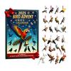 Bird Advent Calendar