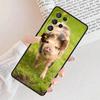 Funny Cartoon Pig Phone Case For Samsung Galaxy S25 S23 S30 S8 S21 S20 FE S24 S22 Note 10 20 Plus lite Ultra