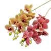 One Real Touch Butterfly Orchid Flower Branch Seven Heads Artificial Moth Phalaenopsis Orchid