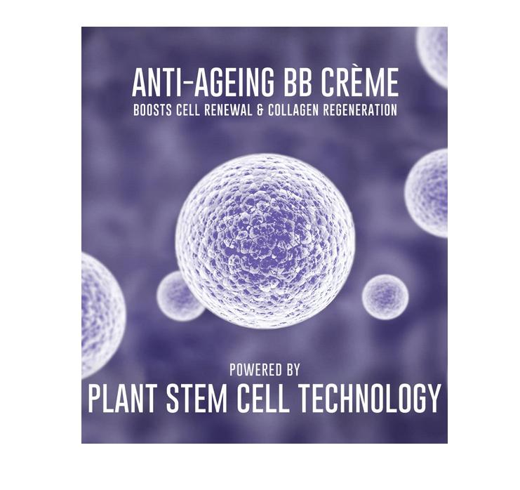 Dermafique BB Cream with Age Defying Properties - For All Skin Types - Made with Rare Swiss Apple Extracts- Visible Results in Just 2 Weeks 50g