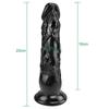 5 Size Soft Dildo MoDi Black Realistic Fake Dick Penis Butt Plug Sex Toys for Woman Men Vagina Anal Massage