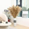 9 Stems Pampas Grass Decor Tall 48''/4 FT, Long Fluffy Dried Pompas Grass, Large Pampas Grass for Floor Vase, Rustic Wedding, Baby Shower, Party,