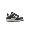 Nike Dunk Low (TD/PS) FB9107-301