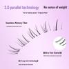 Natural Look Cat's Eye Slanted False Eyelashes: Dense, Hand-Painted, Wild Messy Philtrum Shortening Style