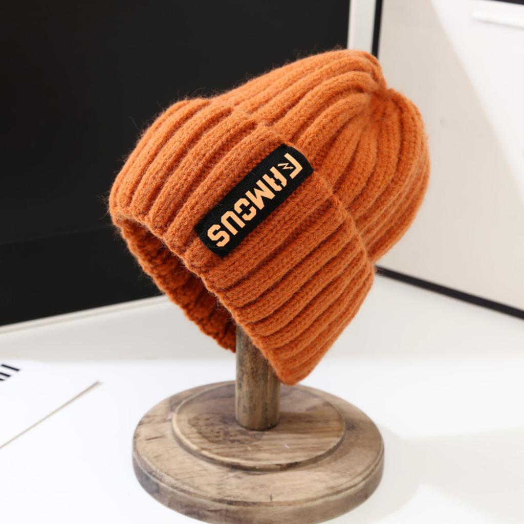 Winter Warm Hat Knitted Wool Hat Pile Hat