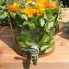 Caraffa per bevande Dulton Erin S Trasparente M411-218S