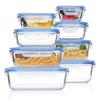 Borosilicate Glass Food Storage & Microwave Safe Bento Box Set