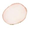 Resin Nail Art   Paint Drawing Color Dish Golden   Manicure Nail   Tool White