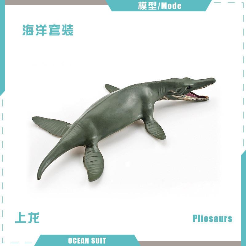 Zestaw modeli zwierząt oceanicznych premium z PVC, w tym rekiny, żółwie, delfiny, pingwiny i kraby do zabawy edukacyjnej