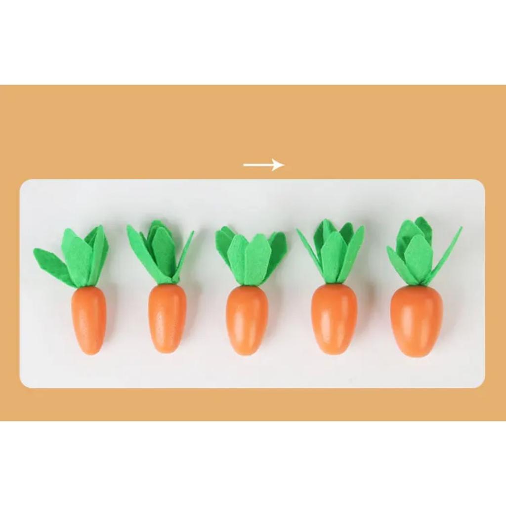 Wooden Shape Puzzle Preschool Cognitive Toy Early Learning Sorter Game Shape Sorter Puzzle for Children Kids Girls Boys Toddlers