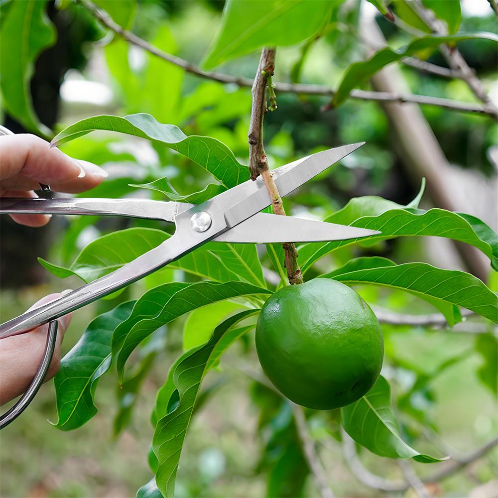 Gardening Shears Flower Branch Scissors Gardening Garden Scissors Stainless Steel Potted Pruning Tool Home Garden Scissors
