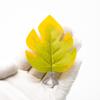 Artificial Leaves Decorative Plant with Suction Cup Colorful Leaf Decors for Fish Tanks Ornaments Plant for Terrarium