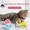 Chirping Cat Ball Toy Interactive Catnip Ball Toy with Birds Frog Crickets Sound Touch Activated Kitten Exercise Toy for Indoor Cats