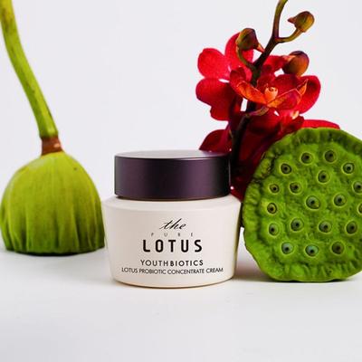 Youth Biotics Lotus Ferment Konzentrat Creme 50ml