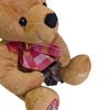 Q-FLA Plush Teddy Bear with Colorful Message, Recording Function, Talking Bear, Fluffy, Perfect Gift for Celebrations, 767180