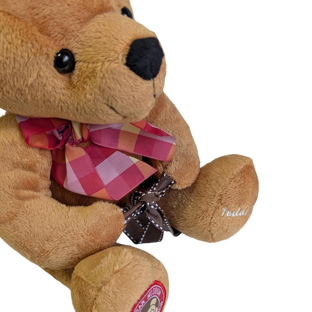 Q-FLA Plush Teddy Bear with Colorful Message, Recording Function, Talking Bear, Fluffy, Perfect Gift for Celebrations, 767180