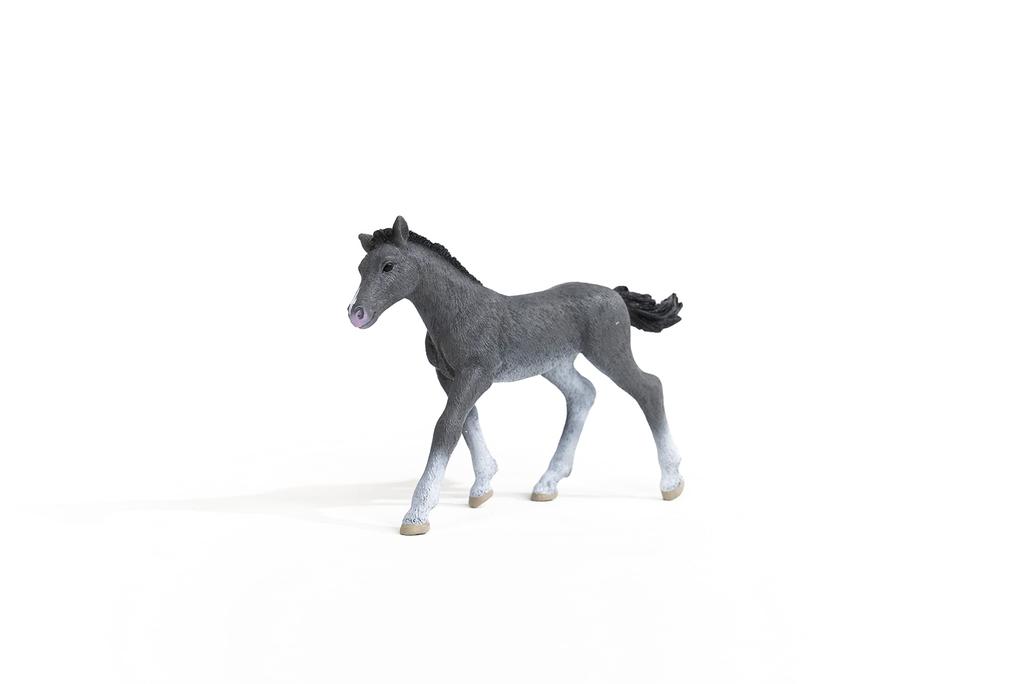 Schleich Horse Club Trakehner Ages Realistic Horse Animal Toy 13944 (foal) Figure, 6+,
