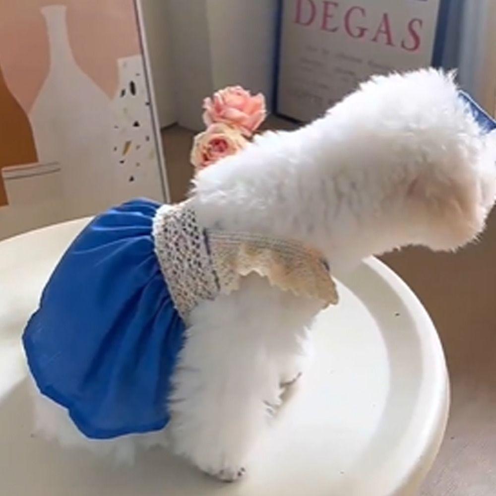 Lace Pet Clothes Breathable Cat Princess Skirt Fashion Dog Summer Vest Autumn