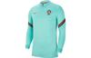 Soccer Jerseys Men's Green Moderate Straight Fit CD2195-305