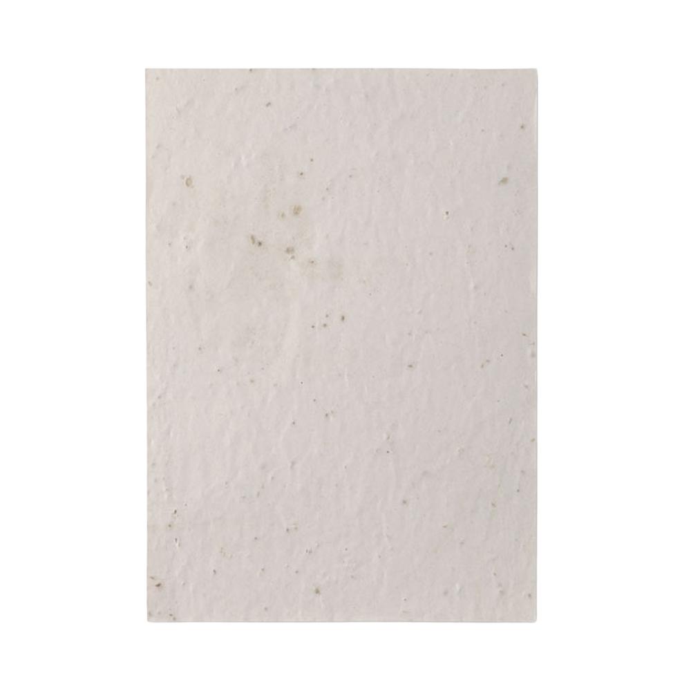 MidOcean Aside Wildflower Seed Paper