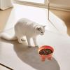 Macaron Colored Elephant Leg Dog Cat Bowl Neck Protection Slanted Mouth Cat Feeder Anti Tipping Feeding Bowl for Pet Supplies