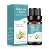 10ml Car Perfume Water-soluble Air Freshener Aroma Diffuser Air Humidifier Essential Oils Freshener Scents Fragrance Oil Perfume