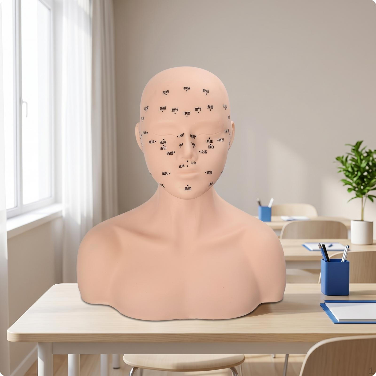 PVC Mannequin Head with Shoulders Soft