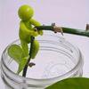 3pcs Cute Plant Support Plant Propagation Buddy For A Plant Propagation Station Sprouts Stems Shoots Cuttings